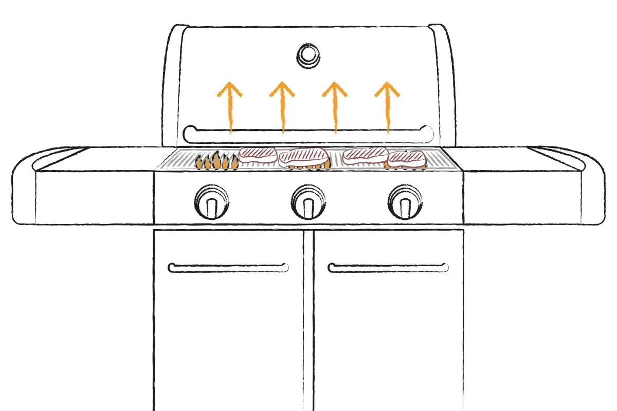 direktes grillen gas
direktes grillen gas