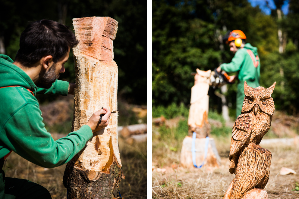 Sascha Borrée zeichnet die Umrisse seiner Eule an dem Baumstamm und fängt dann an, die Eule aus dem Holz zu schnitzen. Sascha Borrée zeichnet die Umrisse seiner Eule an dem Baumstamm und fängt dann an, die Eule aus dem Holz zu schnitzen.