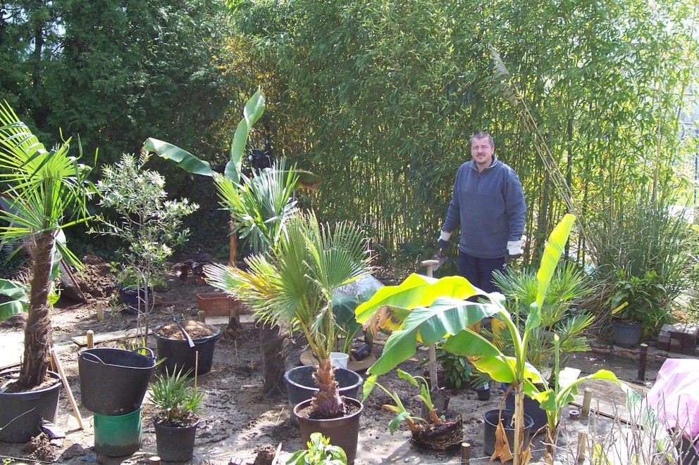 
				Alexander Wagner hat exotische Pflanzen in Pflanztöpfen in seinem Garten verteilt.

			