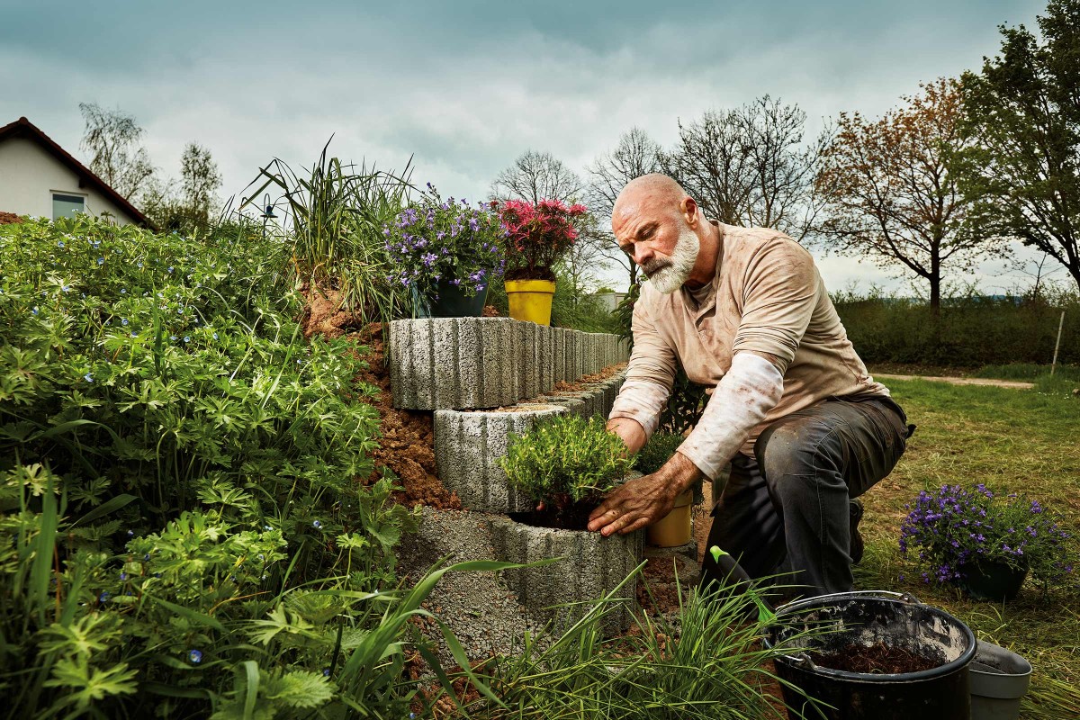 Pflanzsteine setzen Ideen von HORNBACH