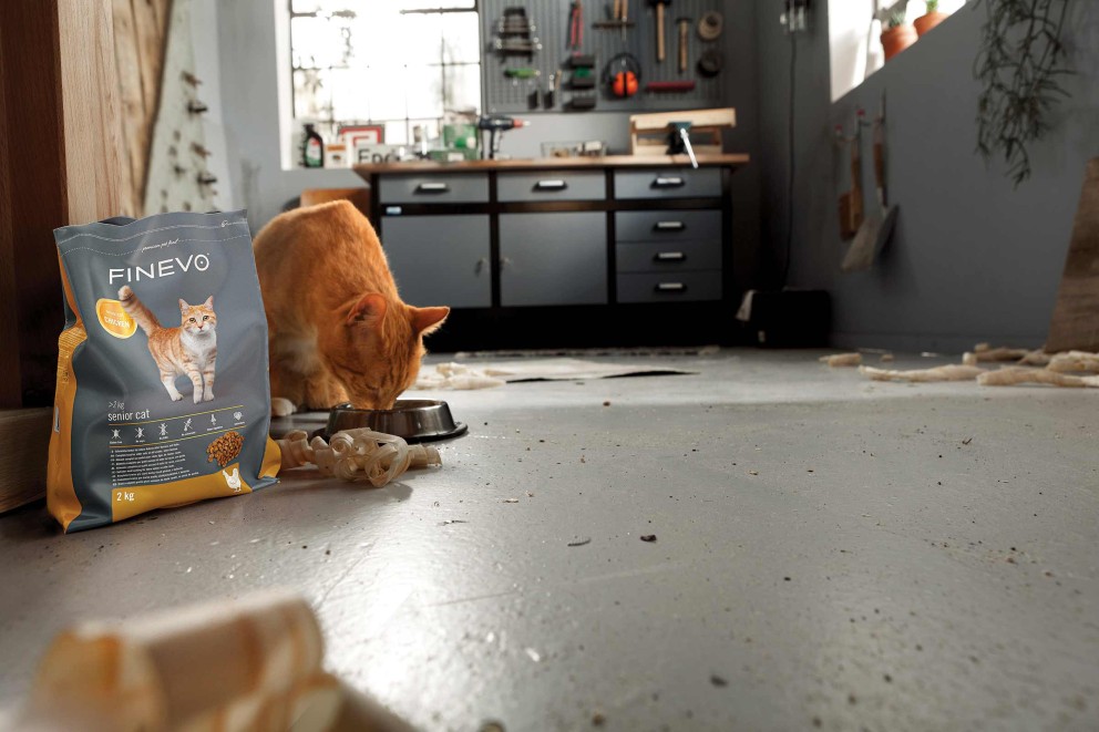 FINEVO Katzennahrung für ältere Katzen mit Huhn und einer Katze, die aus einem Napf frisst.
