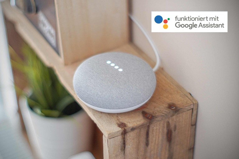 Steuerung mit Google Home Assistant