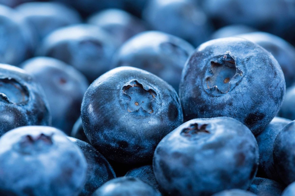 beerenstraeucher heidelbeeren beerenstraeucher heidelbeeren