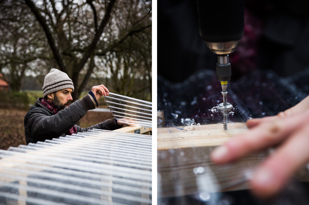 Autor Sascha Borrée befestigt Plexiglas Wellplatten oben auf seinem selbst gebauten Gewächshaus. Es soll als Dach dienen. Autor Sascha Borrée befestigt Plexiglas Wellplatten oben auf seinem selbst gebauten Gewächshaus. Es soll als Dach dienen.