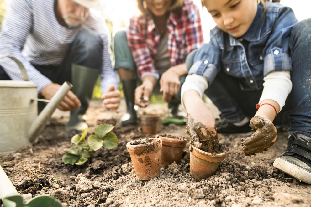 gartenprojekte mit kindern gartenprojekte mit kindern