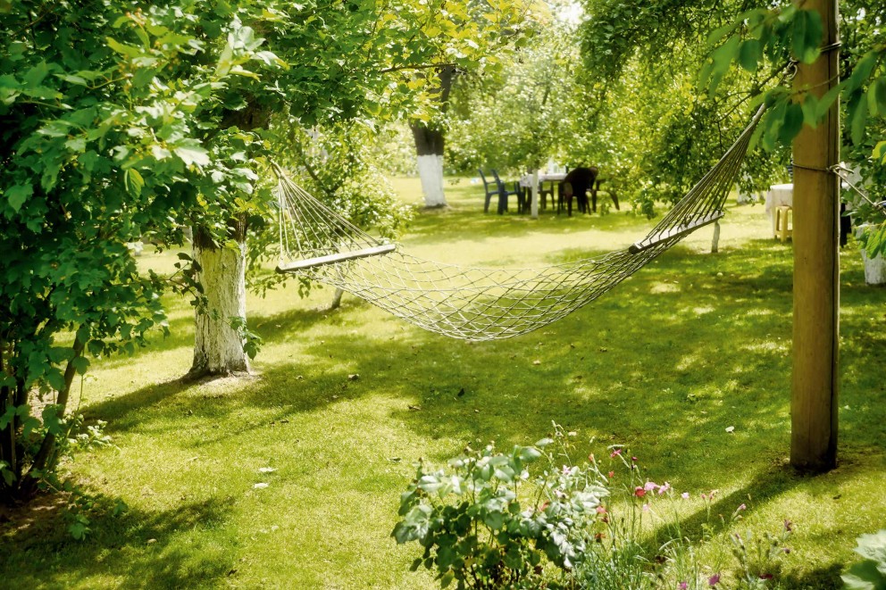 schattenspender im garten baeume schattenspender im garten baeume