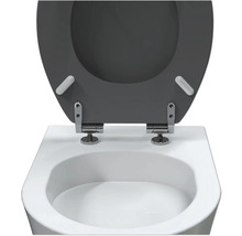 WC-Sitz mit Absenkautomatik auf einer Toilette