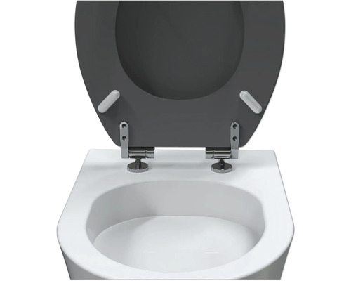 WC-Sitz mit Absenkautomatik auf einer Toilette
