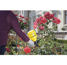 Anwendung eines MESTO Drucksprühgeräts im Garten zur Rosenpflege