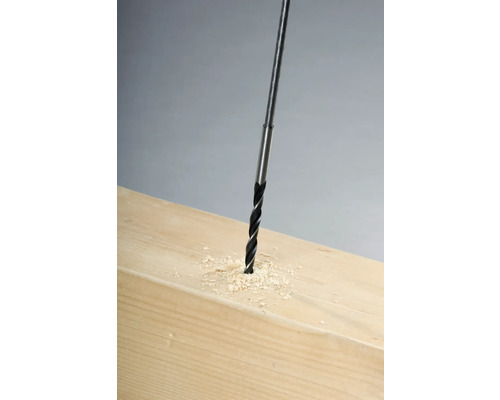 Holzbohrer bohrt ein Loch in ein Holzbrett.