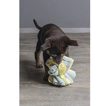 Ein Welpe spielt mit einem Stofftier für Hunde.