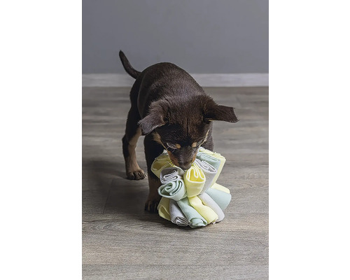 Ein Welpe spielt mit einem Stofftier für Hunde.