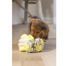 Dackelwelpe spielt mit einem Hundespielzeug aus Stoff