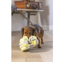 Dackel trägt Hundespielzeug im Maul