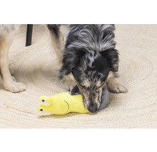 Ein Hund spielt mit einem gelben Schnecken-Hundespielzeug auf einem Teppich.