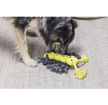 Hund erkundet interaktives Futterspielzeug mit Raupendesign auf einer Schnüffelmatte