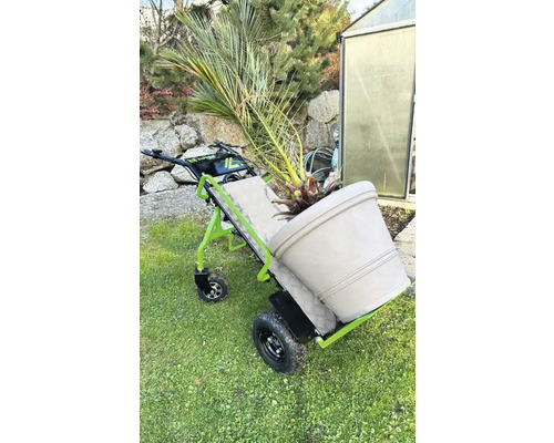 Schubkarre mit Pflanze im Topf im Garten