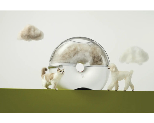 Haustierhaarentferner mit Katze, Pudel und Haarknäuel