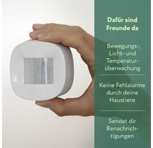 Bewegungsmelder zur Bewegungs-, Licht- und Temperaturüberwachung in der Hand