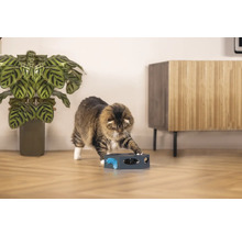 Katze spielt mit interaktivem Katzenspielzeug in Wohnraumumgebung