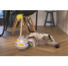 Eine Katze liegt neben einem Katzenspielzeug mit Bällen und einer Federangel