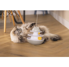 Katze spielt mit interaktivem Katzenspielzeug auf einem Holzboden