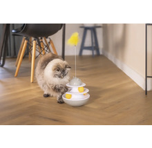 Katze spielt mit interaktivem Katzenspielzeug im Innenbereich