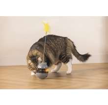 Katze spielt mit Futterball Spielzeug