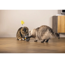 Zwei Katzen spielen mit einem interaktiven Spielzeug mit Feder auf einem Holzboden.