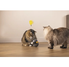 Zwei Katzen spielen mit einem Katzenspielzeug mit Feder.