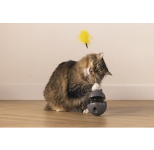Katze spielt mit interaktivem Katzenspielzeug mit Feder