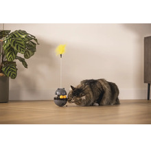 Katze spielt mit interaktivem Katzenspielzeug mit Federangel