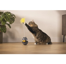 Katze spielt mit Katzenspielzeug mit Feder