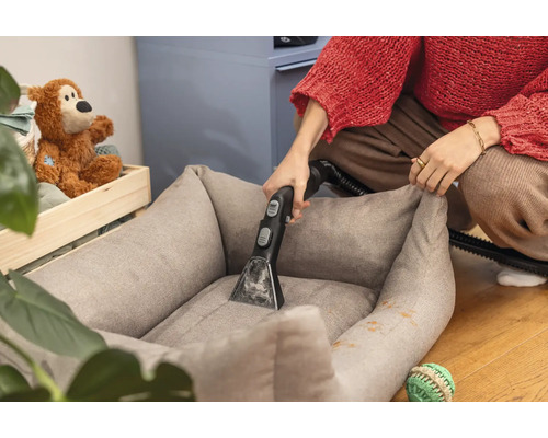 Eine Person reinigt mit einem Waschsauger ein Hundebett.