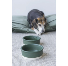 Zwei Futternäpfe für Hunde stehen vor einem Hundekissen.