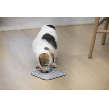 Hund frisst von einer Futtermatte auf dem Boden