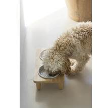 Hund trinkt Wasser aus einem Hundenapf auf einem Holzständer