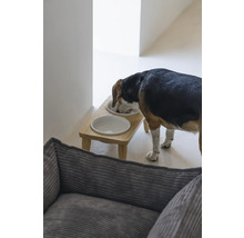 Ein Hund frisst von einer erhöhten Futterstation mit zwei Näpfen in einem hellen Raum.