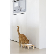 Katze frisst von einem erhöhten Futtertisch in einer Küche.