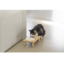 Katze frisst von erhöhtem Futterständer mit zwei Näpfen