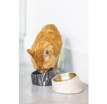 Eine Katze frisst aus einem erhöhtem Futternapf mit Marmormuster, ein weiterer Napf steht daneben.