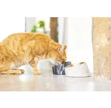 Eine Katze frisst aus zwei Futternäpfen mit Marmoroptik.