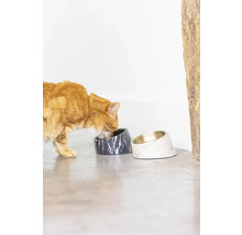 "Katze frisst aus einem grauen Futternapf mit Marmoroptik
