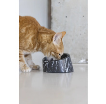Eine Katze frisst aus einem Futternapf mit Marmormuster.