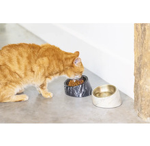 Eine rothaarige Katze frisst Trockenfutter aus einer Marmorschale, daneben steht eine Wasserschale.