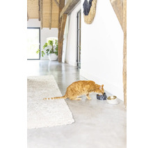 Eine orangefarbene Katze frisst aus einer Marmorschale neben einer zweiten Futterschale in einem hellen Flur.
