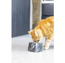 Eine orangefarbene Katze frisst aus einem Futternapf mit Marmormuster.