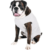 Boxer mit Hundeshirt