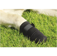 Hundepfotenbandage auf Gras