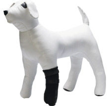 Hundemannequin mit Kniebandage